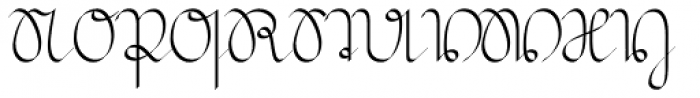 Suetterlin Calligraphic Font UPPERCASE