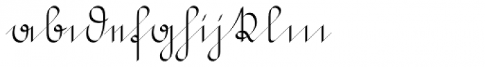 Suetterlin Calligraphic Font LOWERCASE