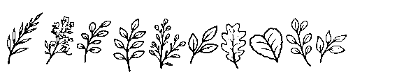 Sugreen Doodle Font OTHER CHARS