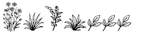 Sugreen Doodle Font UPPERCASE