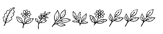 Sugreen Doodle Font UPPERCASE