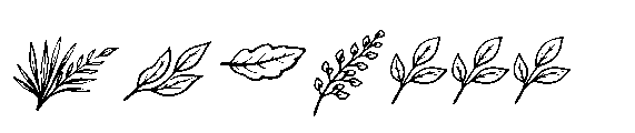 Sugreen Doodle FONT
