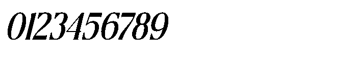 Sunkis Display Italic Italic Font OTHER CHARS
