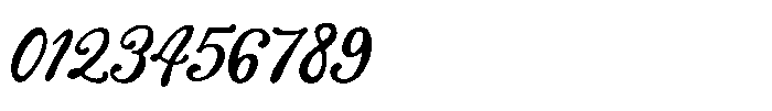 Sunset Palm Script Font OTHER CHARS