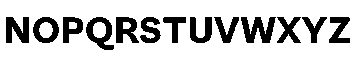 SubtilGrotesk Bold Font UPPERCASE