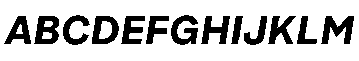 SubtilGrotesk BoldItalic Font UPPERCASE