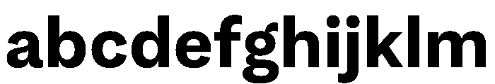 SubtilGrotesk Bold FONT