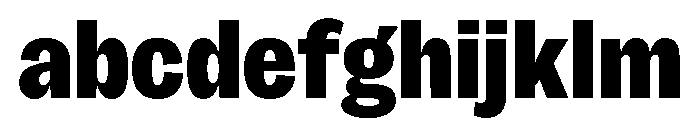 Sundry Condensed Heavy FONT