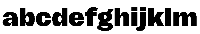 Sundry Heavy FONT