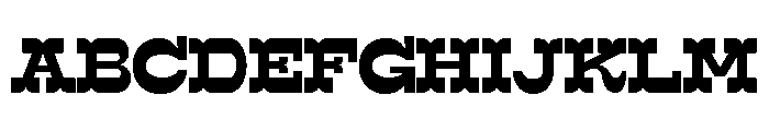 Surfbird Cut Bold Font UPPERCASE