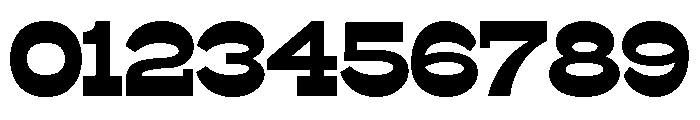 Surfbird Slab Bold Font OTHER CHARS
