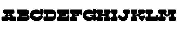 Surfbird Slab Round Black FONT