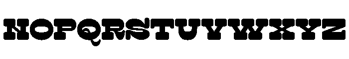 Surfbird Slab Round Black Font LOWERCASE