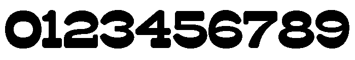 Surfbird Slab Round Bold Font OTHER CHARS