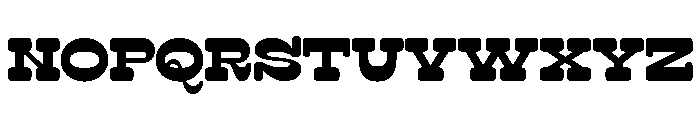Surfbird Slab Round Bold Font LOWERCASE