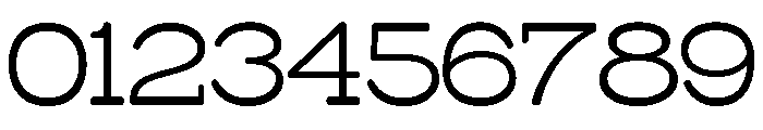 Surfbird Slab Round Light Font OTHER CHARS