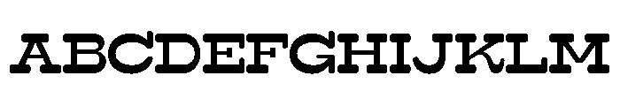 Surfbird Slab Round Medium FONT