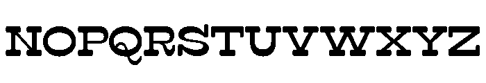 Surfbird Slab Round Medium Font LOWERCASE