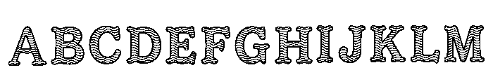 Swift Regular FONT