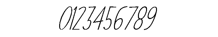Swallow Falls Lite Italic Font OTHER CHARS