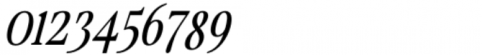 Swift Sage Italic Font OTHER CHARS