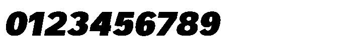 Swinston Sans Black Italic Font OTHER CHARS
