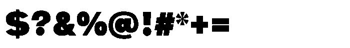 Swinston Sans Black Font OTHER CHARS