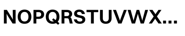Switzer Devanagari Bold Font UPPERCASE