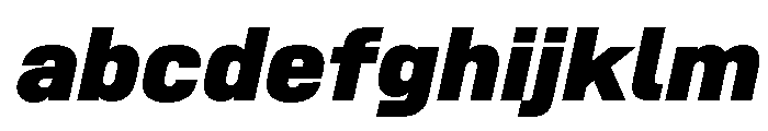 SwissDin BlackItalic 687cb5b8 FONT