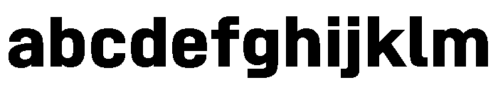 SwissDin Bold 7343c7e8 FONT