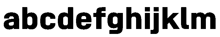 SwissDin Bold FONT