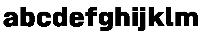 SwissDin ExtraBold 29f5f275 FONT