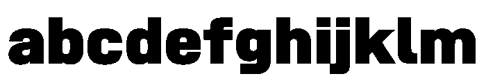 SwissDinVAR Black Instance FONT
