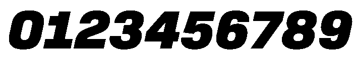 SwissDinVAR BlackItalic Instance Font OTHER CHARS