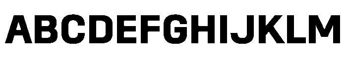 SwissDinVAR Bold Instance Font UPPERCASE