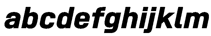 SwissDinVAR BoldItalic Instance FONT