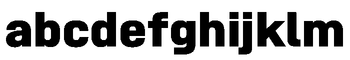 SwissDinVAR ExtraBold Instance Eae85ea0 FONT