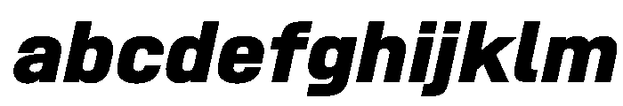 SwissDinVAR ExtraBoldItalic Instance FONT