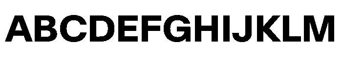 SwissNow Bold Da698f74 Font UPPERCASE