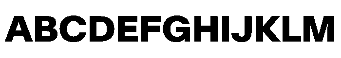 SwissNow ExtraBold Dc793f6d Font UPPERCASE
