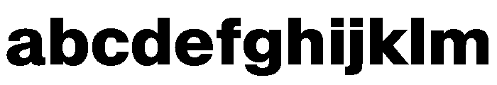 SwissNow ExtraBold Fb56d4e7 FONT