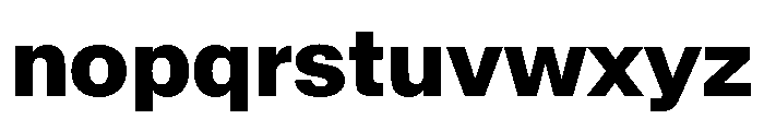 SwissNow ExtraBold Fb56d4e7 Font LOWERCASE