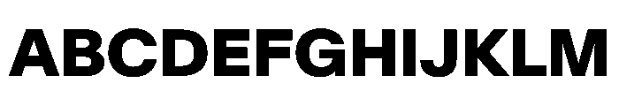 SwissNowVAR ExtraBold Instance 64bd69be Font UPPERCASE