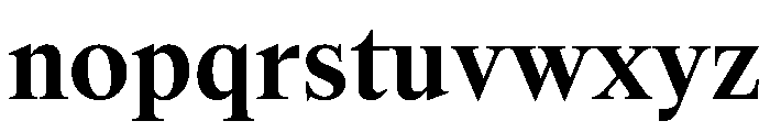 SwissTime Bold E5a0a81b Font LOWERCASE