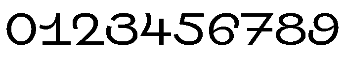 Swono Regular Instance Font OTHER CHARS