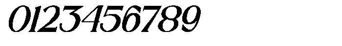 Sx Distext Italic Font OTHER CHARS
