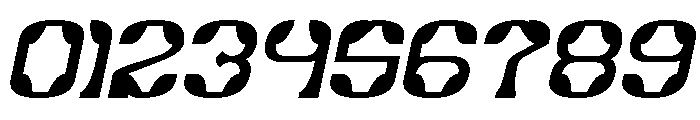 Synthetic Flora Bold Italic Font OTHER CHARS