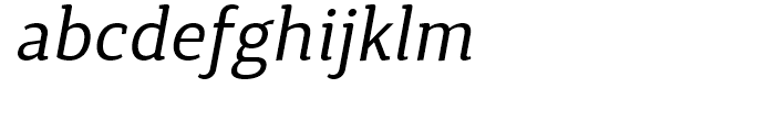 Synerga Pro Italic Font LOWERCASE