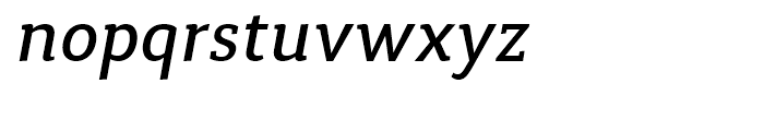 Synerga Pro Medium Italic Font LOWERCASE
