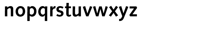 Syntax Bold Font LOWERCASE